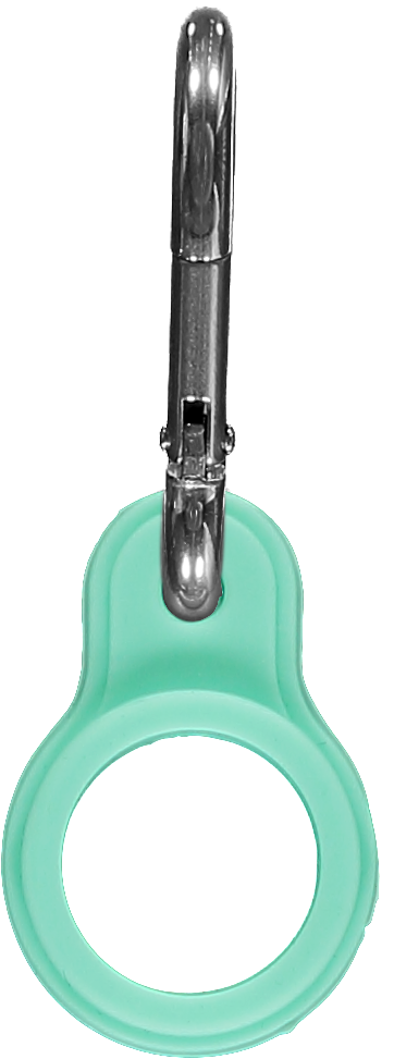 Chilly's Bottle Carabiner Pastel Green